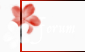 Les Terres de la Sauvagerie Forum Index