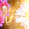 No new posts