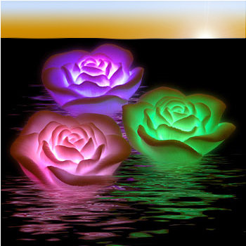 Rosa Mystica Forum Index