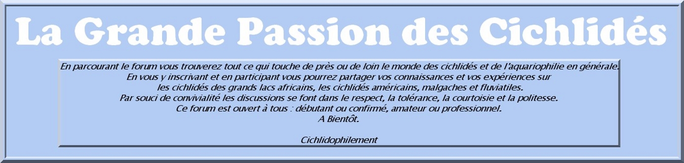 La Grande Passion des Cichlidés Forum Index