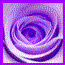 New posts