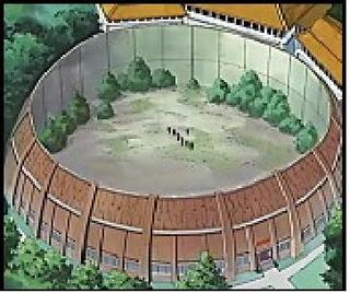 http://img8.xooimage.com/files/e/7/0/chuuninarena-1ed044.jpg