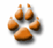 New posts [ Popular ]