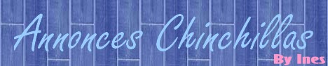 Les annonces Chinchillas Forum Index