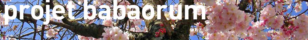 Babaorum Forum Index