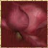 No new posts