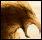 New posts