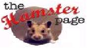 hamsters Forum Index