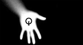 Anoname Forum Index
