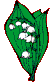 muguet