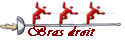 Bras droit